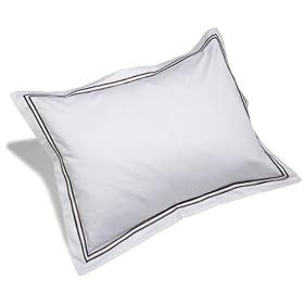 Pinzon 400-Thread-Count Egyptian Cotton Sateen Hotel Sham