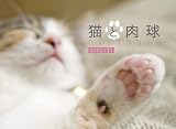 ǭ������ CALENDAR 2011