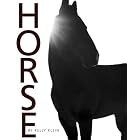 Horse by Kelly Klein and Michael Matz