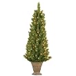 Pre-Lit Potted Spruce - Green (3.5')