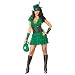 Robyn Da Hood Adult Costume