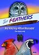 So Many Feathers: Bird Watching Without Binoculars