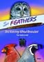 So Many Feathers: Bird Watching Without Binoculars