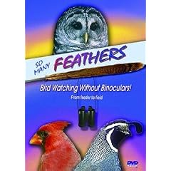 So Many Feathers: Bird Watching Without Binoculars