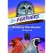 So Many Feathers: Bird Watching Without Binoculars