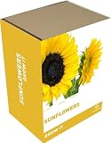 Review Gift Republic  / Grow It Sunflowers