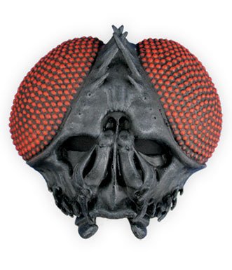 Adult Housefly Halloween Costume Buzz Half Mask