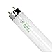 F32T8/841 - T8 32 Watt - 4100 Kelvin - 48 in. - 3100 Lumens - 800 Series Phosphors - Case of 30