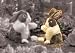 Plush Baby Dutch Rabbit Puppet 8 
