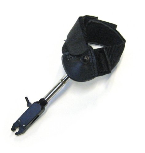 large image