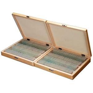 AmScope 200pc Home School Student Basic Biology Science Prepared Slides Microscope Slides with Wooden Box Cases