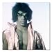 Search : The Incredible Hulk Color Box Canvas Print Gallery Wrapped - 12x12 Inches (Lou Ferrigno)