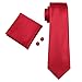 Hi-Tie Red Tie for Men Silk Set
