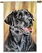 labrador17 - Black Labrador Retriever Dog Breed Flag 26 X