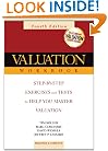 Valuation Workbook: Step-by-Step Exercises and Tests to Help You Master Valuation (Wiley Finance)
