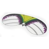 Horizontal Stabilizer: Vapor by ParkZone