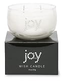Primal Elements Wish Candle, Joy,11-Ounce Box