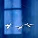 Baby : Flensted Crane Dance Mobile