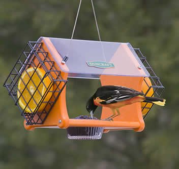 Duncraft Eco-Delight Oriole Feeder