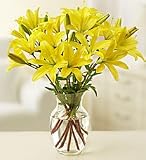 Flowers - Lilies - 10 Stems Arranged in a Vase - Lilies - 10 Stems