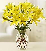 Floral Flowers - Lilies - 10 Stems Arranged in a Vase - Lilies - 10 Stems