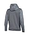 Under Armour UA Storm Armour Fleece Mid Logo YMD Graphite