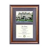 Florida International University Suede Mat Diploma Frame with Lithograph