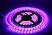 led Strip Lights,5M 16.4ft 5050 Waterproof 300 LEDs SMD Flexible Flash Lighting Lamp Strip Light (No Power Adapter)