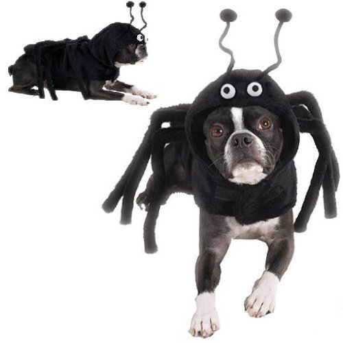 Dog Costume - Spidey Paws Dog Spider Halloween Costume -