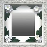 �s�C���e���A �~���[�tPlumeria Mirror White�i�v�������A�~���[/�z���C�g�j