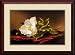 Magnolia Grandiflora Framed Print by Martin Johnson Heade Framed