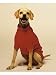 Fashion Pet Classic Small Cable Dog Sweater, Red