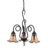Quoizel BLDS5103IB Salamander Glass Studio (No Suggestions) 3-Light Chandelier, Imperial Bronze