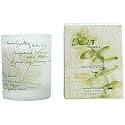 Thymes Eucalyptus Candle 5.3 oz / 150 g