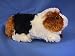 Copper Tri Color Guinea Pig Plush Toy