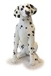Sitting Dalmation (31")