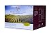 US Elite Sauvignon Blanc Varietal Grape Concentrate