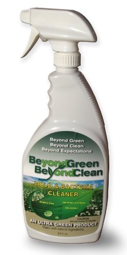 get rid of mold