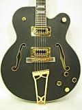 Gretsch Guitars G5191 Tim Armstrong Electromatic Hollowbody Electric Guitar Black