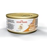 Royal Canin Canned Cat Food, Intense Beauty (Pack of 24 3-Ounce Cans)