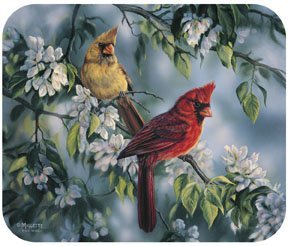 Cardinals Mouse Pad