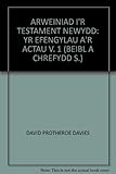Arweiniad i'r Testament Newydd. Cyfrol 1, Yr efengylau a'r Actau