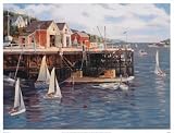 Sailing Class Art Poster Print by Jacqueline Penney, 32x26