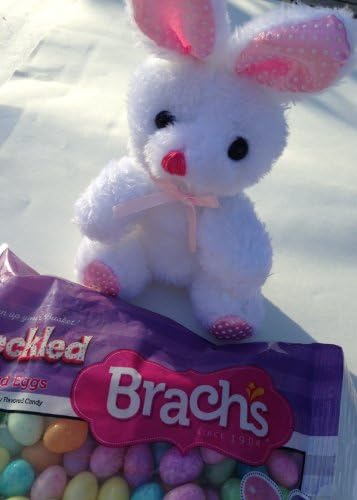 Bunny and Beans Two Piece Bundle - One 10.25oz Bag of Brach's Speckled Jelly Beans and One Small Plush Easter Bunny