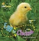 Egg to Chicken/Tadpole to Frog (Flip Me Over) (QEB Life Cycles)