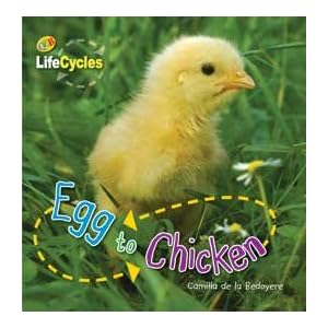 Egg to Chicken/Tadpole to Frog (Flip Me Over) (QEB Life Cycles)