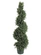 Pack of 2 Potted Artificial Spiral Rosemary Topiary Trees 4' - Unlit