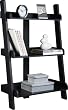 Leaning Bookcase By Altra Furniture