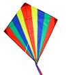 kites