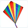 Kites & Flight
